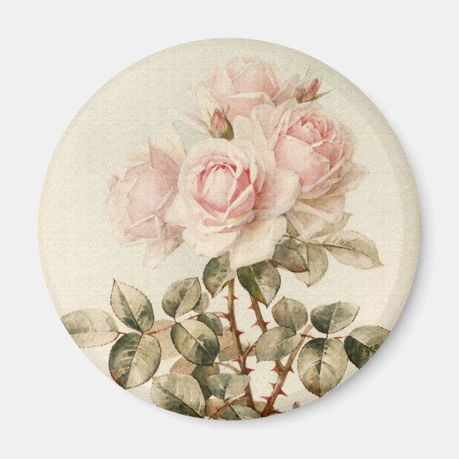 Vintage Viktorianische romantische Rose Magnet (Vorne)