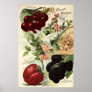 Vintage Viktorianische Zeitalter-Reid-Saatkataloga Poster