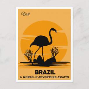Vintage Visit Brazil Flamingo Reise Postkarte