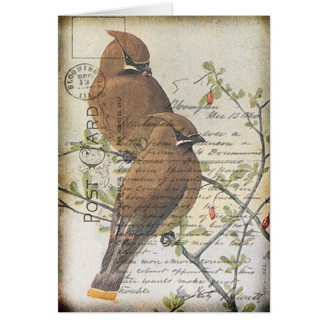 Vintage Vogel (Vorne)