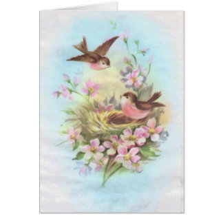 Vintage Vögel