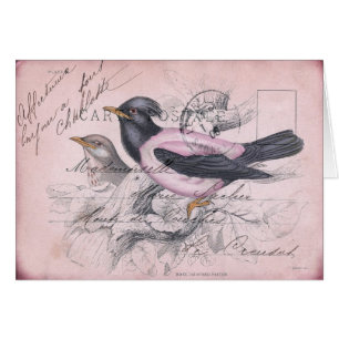 Vintage Vogel