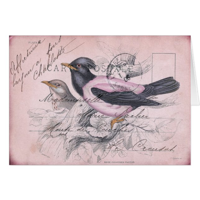 Vintage Vogel (Vorderseite (Horizontal))