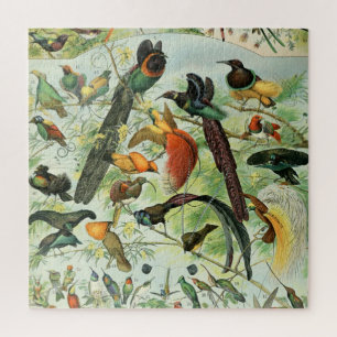 Vintage Vögel Alte Buchillustration Kunsttiere Puzzle