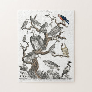 Vintage Vögel Altes Buch Illustration Kunst Puzzle