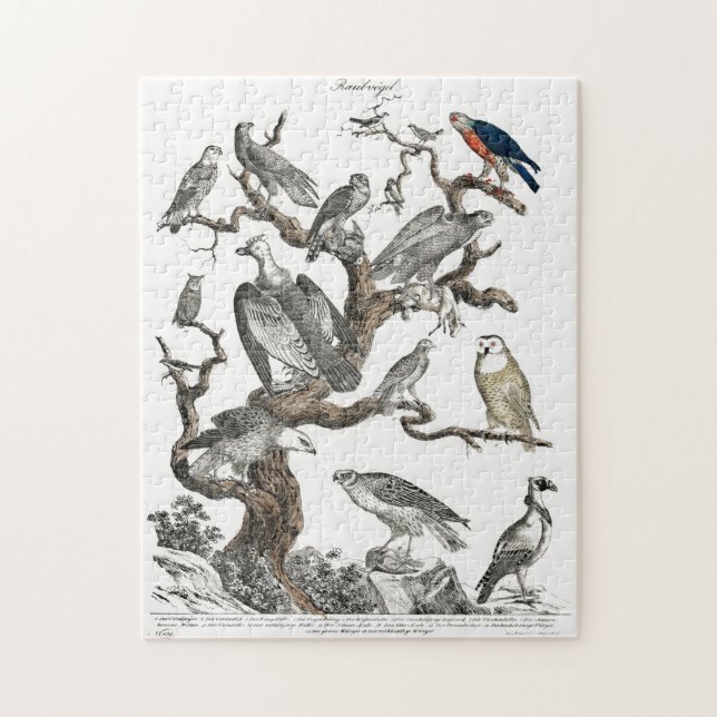 Vintage Vögel Altes Buch Illustration Kunst Puzzle (Vertikal)