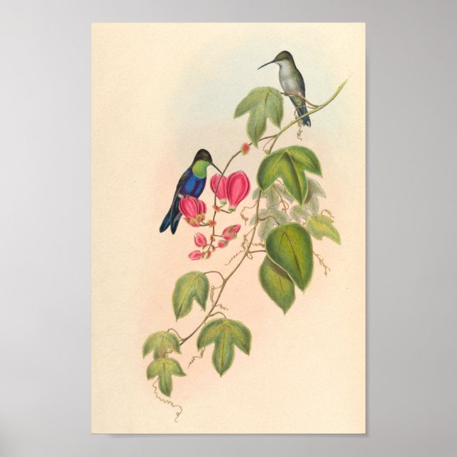 Vintage Vögel Art Bird Print Blume Poster (Vorne)