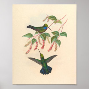 Vintage Vögel Art Bird Print Blume Poster