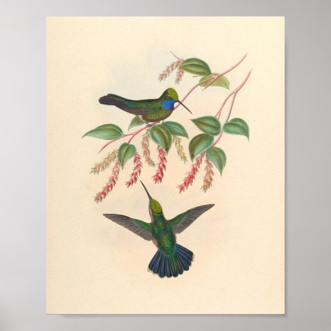 Vintage Vögel Art Bird Print Blume Poster (Vorne)