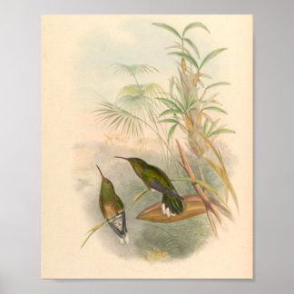 Vintage Vögel Art Bird Print Blume Poster