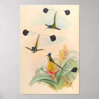 Vintage Vögel Art Bird Print Blume