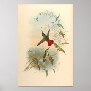 Vintage Vögel Art Bird Print Blume Poster
