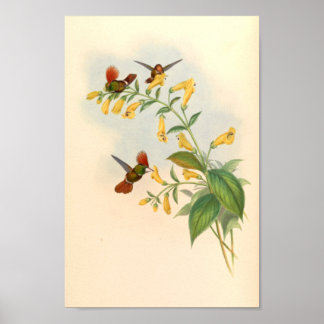Vintage Vögel Art Bird Print Blume Poster