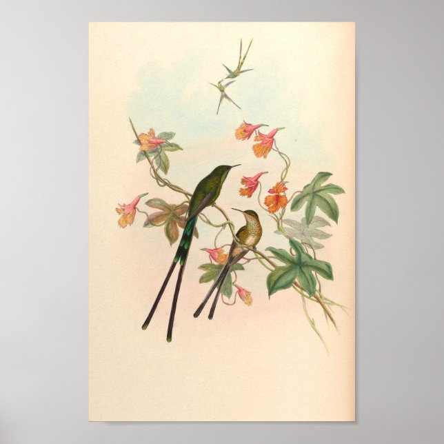 Vintage Vögel Art Bird Print Blume Poster (Vorne)