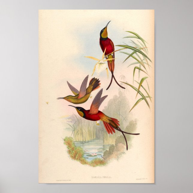 Vintage Vögel Art Bird Print Blume Poster (Vorne)