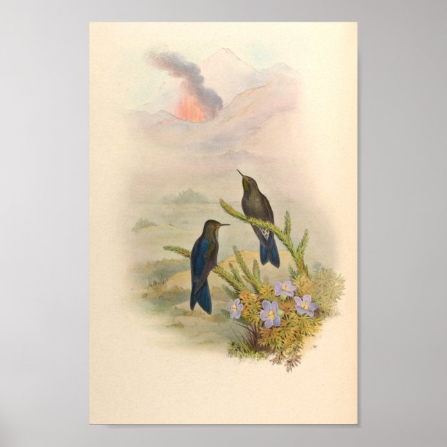 Vintage Vögel Art Bird Print Blume Poster (Vorne)