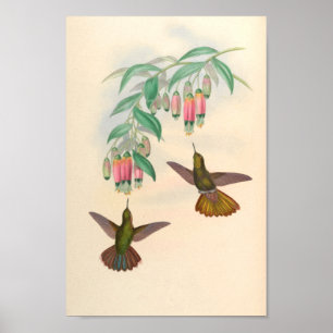 Vintage Vögel Art Bird Print Blume Poster