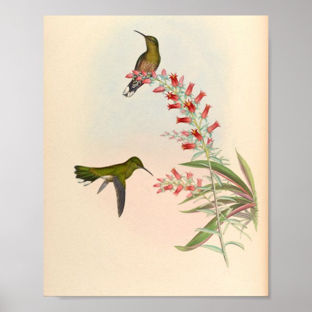 Vintage Vögel Art Bird Print Blume Poster (Vorne)