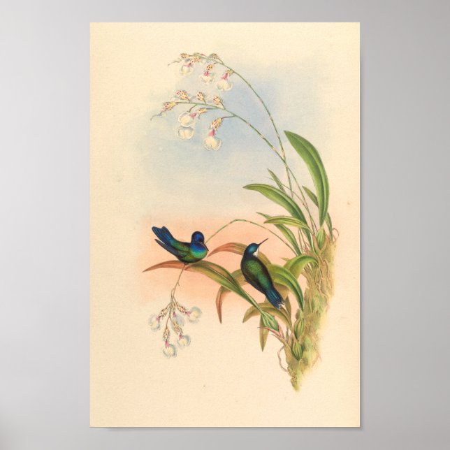 Vintage Vögel Art Bird Print Blume Poster (Vorne)