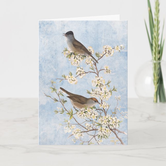 Vintage Vögel auf blühenden Zweigen Blauer Himmel Dankeskarte (Vorderseite)