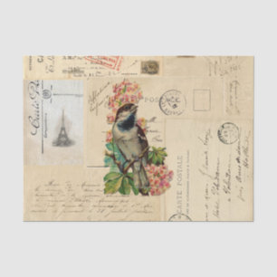 Vintage-Vogel-Blumen-französische Postkarten-Seide Seidenpapier