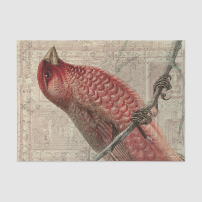 Vintage Vogel-Collage Seidenpapier (Vorderseite)