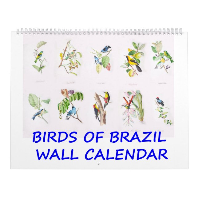 Vintage Vögel des Brasilien-Wandkalenders Kalender (Titelbild)