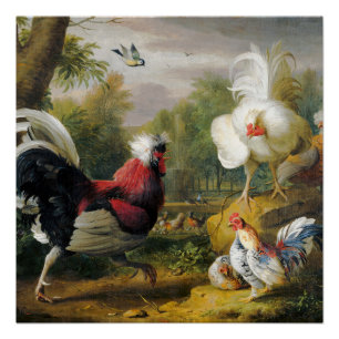 Vintage Vögel Die Kakerlaken kämpfen Poster