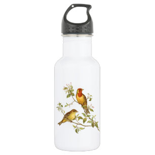 Vintage Vögel Edelstahlflasche
