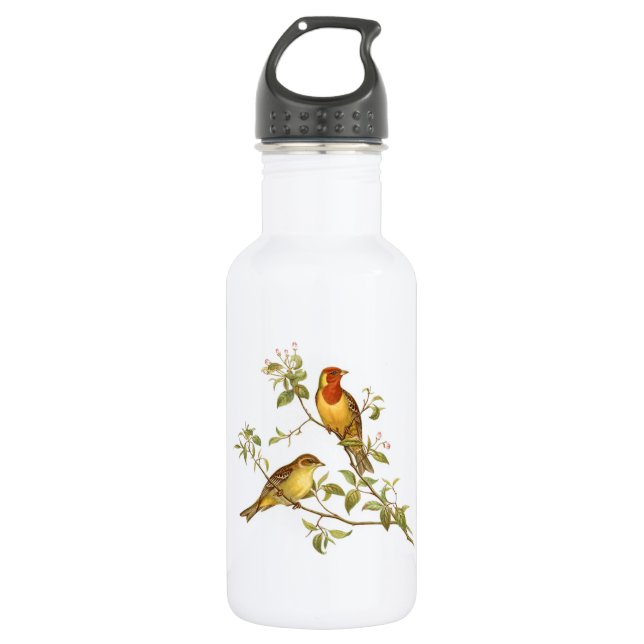 Vintage Vögel Edelstahlflasche (Vorderseite)