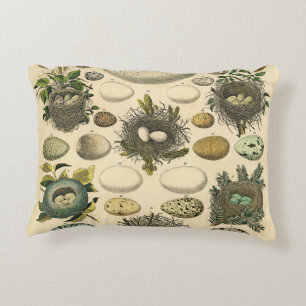 Vintage Vogel-Ei-Nest-Kunstmalerei Naturgeschichte Dekokissen