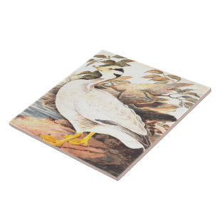 Vintage-Vogel Elizabeth Gwillim Streifengans Fliese