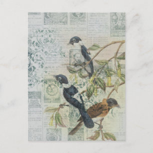 Vintage-Vogel-Ephemera-Decoupage-Postkarte Postkarte