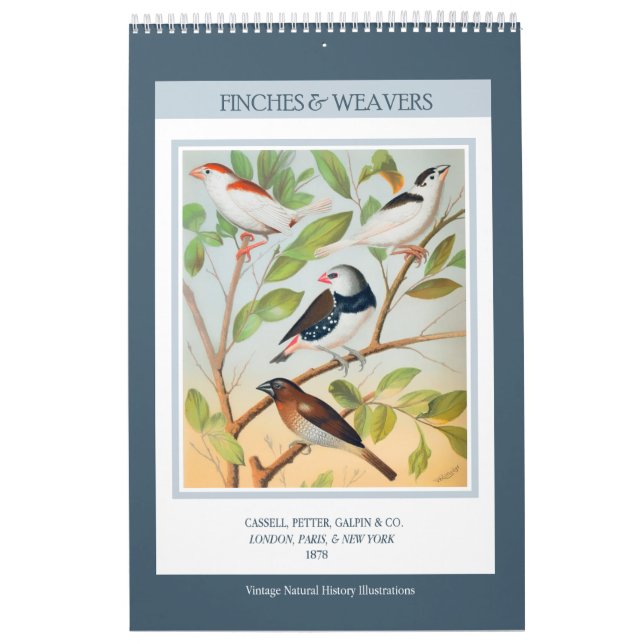 Vintage Vögel - Finches und Weaver 2026 Kalender (Titelbild)