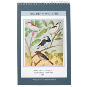 Vintage Vögel - Finken und Webervögel 2027 Kalender
