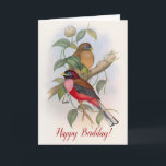 Vintage Vögel Funny Birthday (Geburtstag) Pun Karte<br><div class="desc">Diese bezaubernde, zum Geburtstag lustige Pun-Karte zeigt eine wunderschöne Vintage Viktorianische Illustration zweier farbenfroher Feathered Friends aus dem 19. Jahrhundert. Ein roter Vogel und ein bräunlicher Vogel sitzen auf einem grünen Zweig in diesem eleganten Bild zusammen. An der Kartenvorderseite steht "Happy Birdday" und innen drin steht "Hoffe, dass dein Tag...</div>