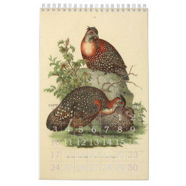 Vintage Vogel-Illustrations-Sammlung Kalender