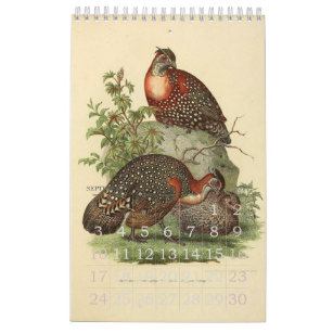 Vintage Vogel-Illustrations-Sammlung Kalender