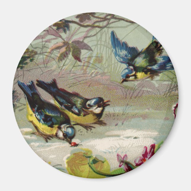 Vintage Vögel im Schnee Magnet (Vorne)