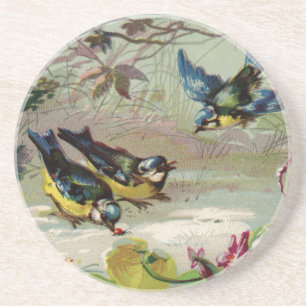 Vintage Vögel im Snow Sandstone Drink Untersetzer