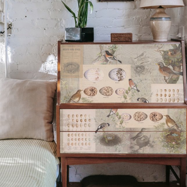 Vintage Vögel Nest Eier Skript Ephemera Decoupage Seidenpapier (Von Creator hochgeladen)