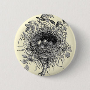 Vintage Vogel-Nest-Illustration Button