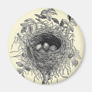 Vintage Vogel-Nest-Illustration Magnet