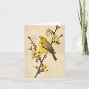 Vintage-Vogel-Notizkarte Karte