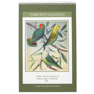 Vintage Vögel - Papageien und Papageien 2024 Kalender