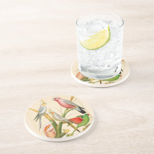 Vintage Vögel - Parakets, tropische Vögel Getränkeuntersetzer