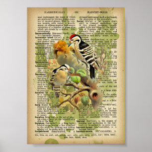 Vintage Vögel Poster