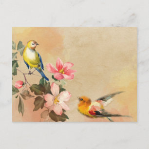 Vintage-Vogel-Postkarte Postkarte