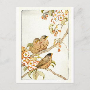 Vintage-Vogel-Postkarte Postkarte
