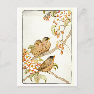 Vintage-Vogel-Postkarte Postkarte